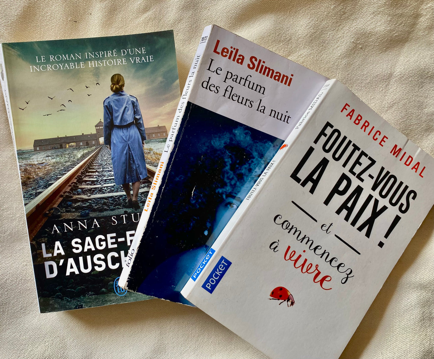 Lot 3 Livres Surprise