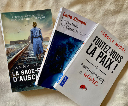 Lot 3 Livres Surprise